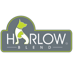 Harlow Blend 楓葉